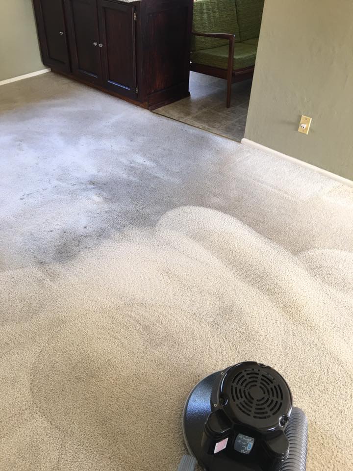 a clean carpet Whidbey WA 10
