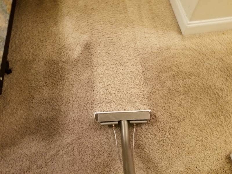 steam carpet cleaning