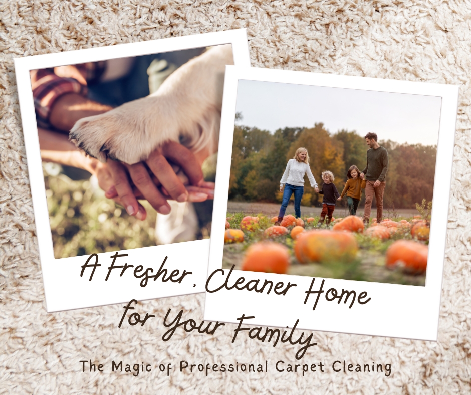 Family and pet friendly clean carpets