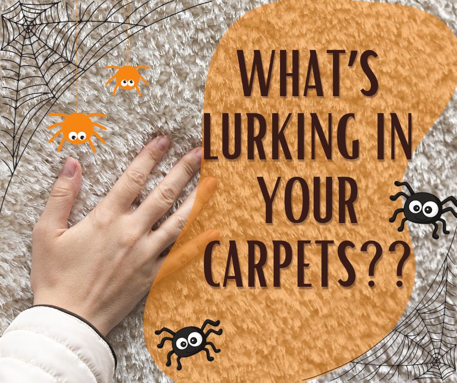 What's Lurking in your carpets_blog