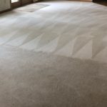 a clean carpet Whidbey WA 20