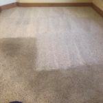 a clean carpet Whidbey WA 22