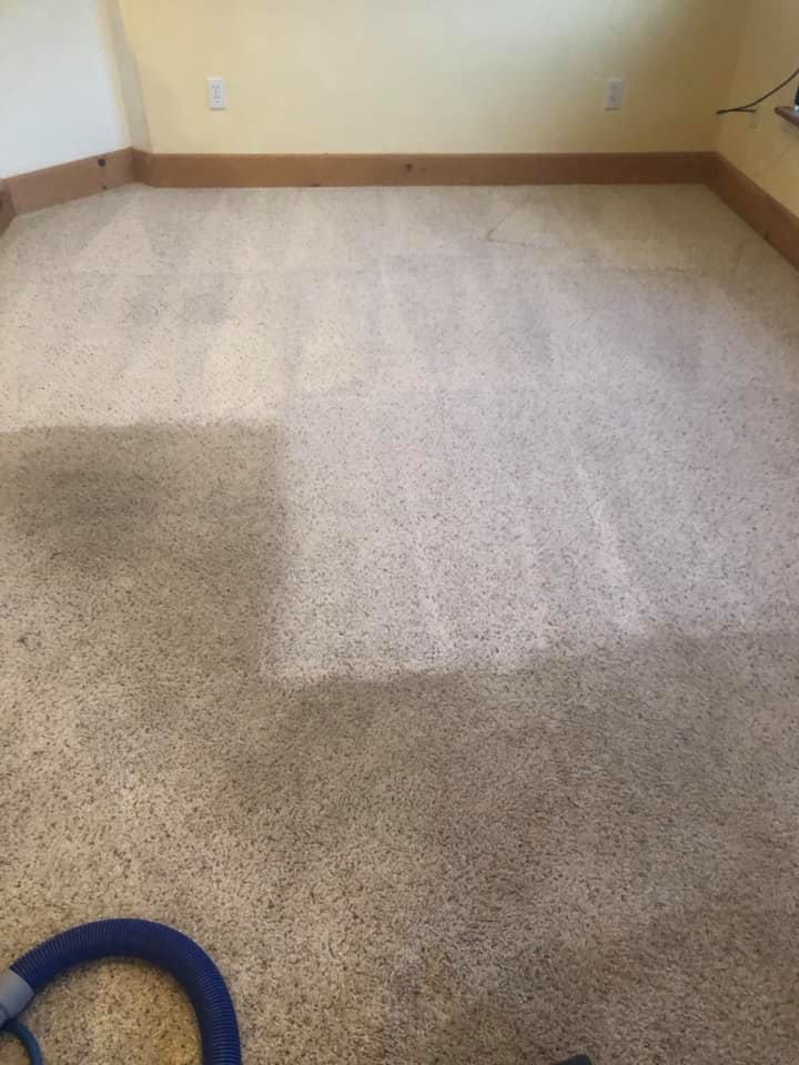 Carpet Cleaning