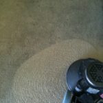 a clean carpet Whidbey WA 3