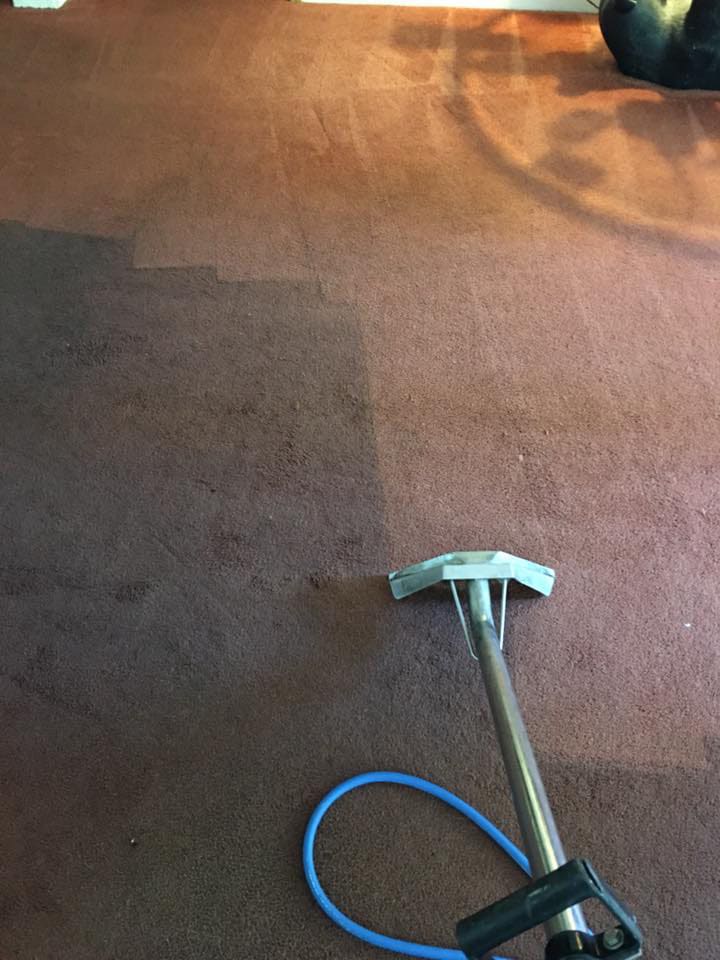 Carpet Cleaning WI