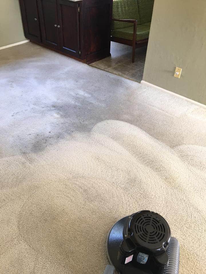 Carpet Cleaning WI