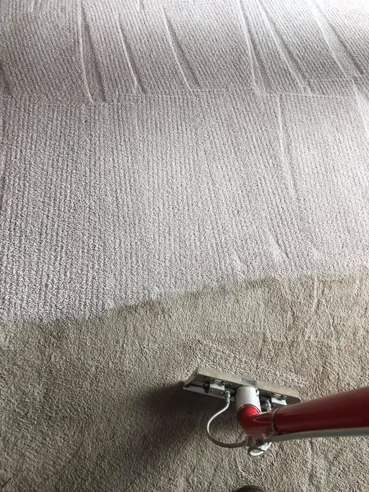 LaCrosse WI carpet deodorizing