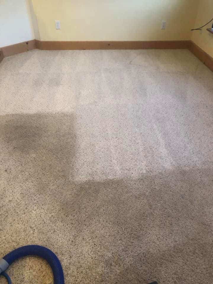 steam carpet cleaning service
