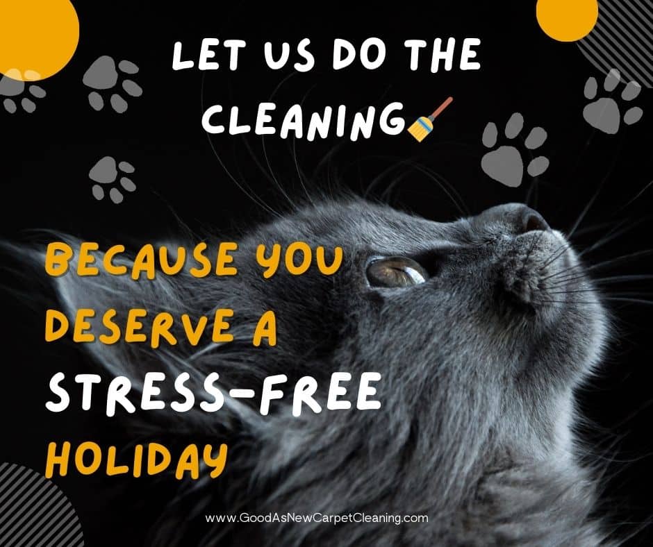stress free holiday season_carpet cleaning